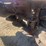 2011-new-holland-h7460-discbine-image-17