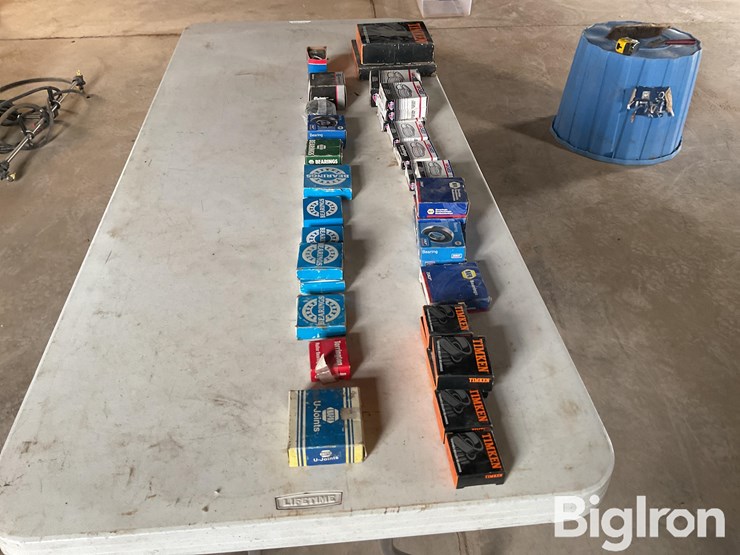 bearings-and-races-image-8