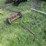 #45953-•-great-states-push-mower-image-1