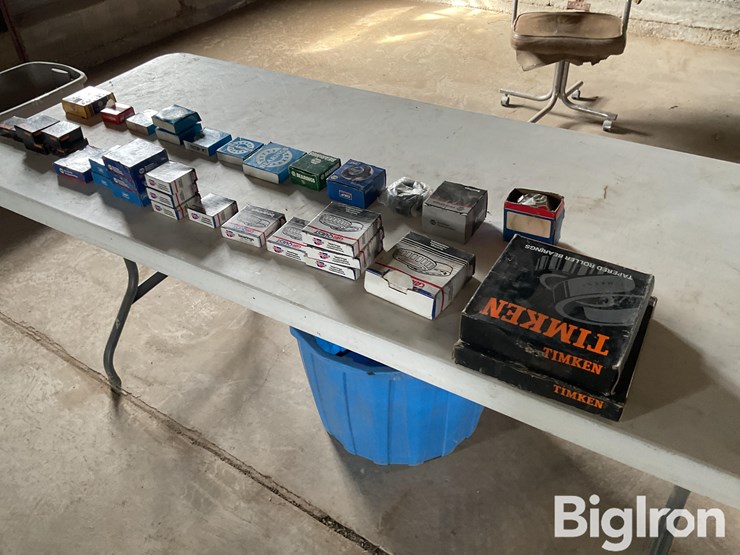 bearings-and-races-image-5