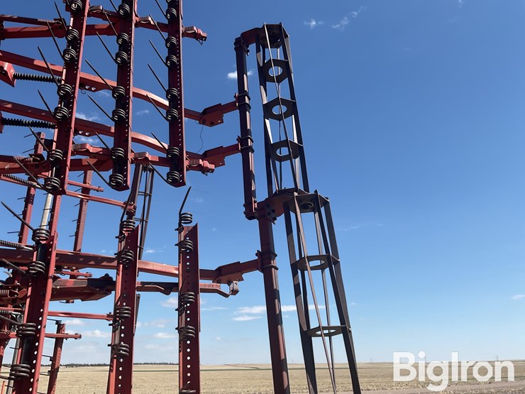 sunflower-6432-33-image-20