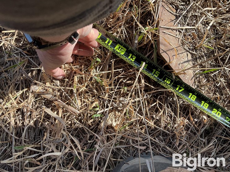 sunflower-fc-24-chisel-plow-w/harrow-image-12