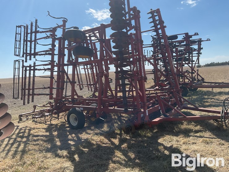 sunflower-6432-33-image-4