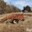 sunflower-fc-24-chisel-plow-w/harrow-image-4