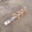 10"-auger-bit-image-3