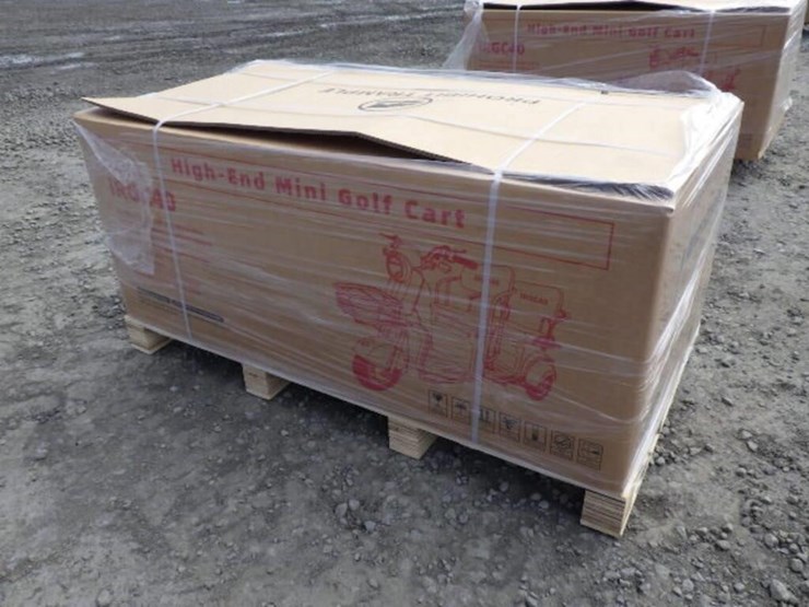 2026-ir-irgc40-electric-tricycle-image-4