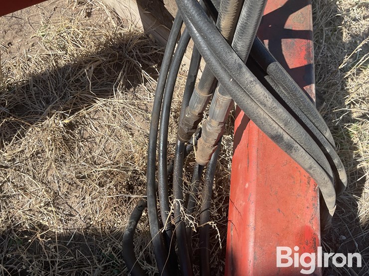 sunflower-6432-33-image-11