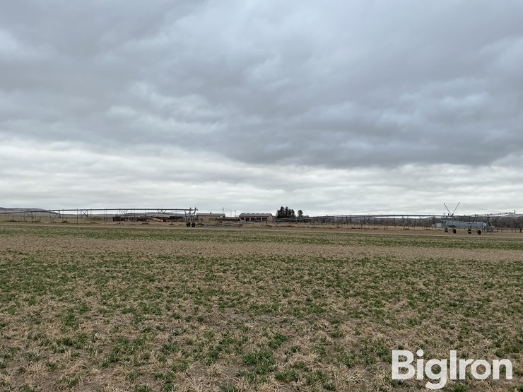 lockwood-2006-center-pivot-image-4