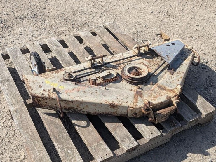 international-40-image-4