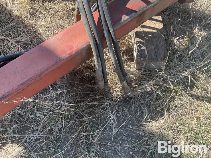 sunflower-6432-33-image-10