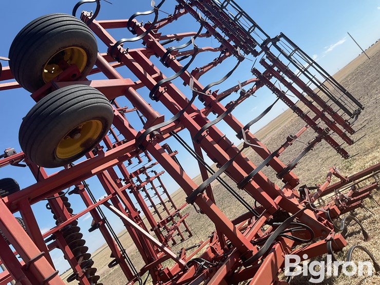 sunflower-6432-33-image-16