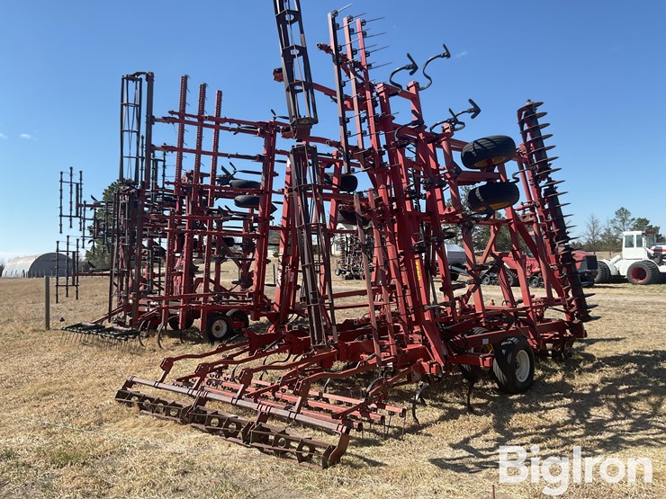 sunflower-6432-33-image-5