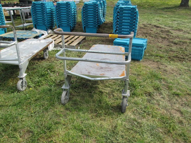 #45985-•-unused-rolling-cart-image-1