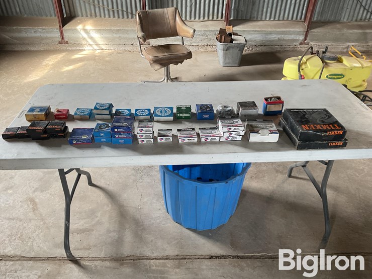 bearings-and-races-image-6