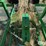 rain-flo-1200-3-pt-vegetable-transplanter-image-10