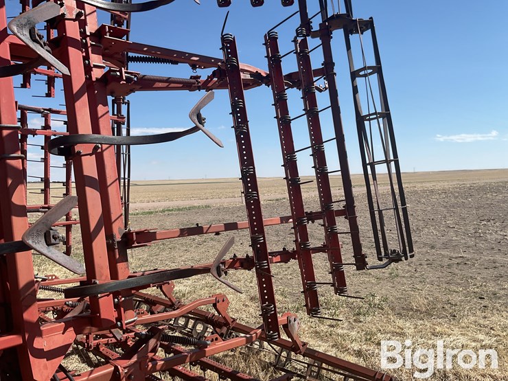 sunflower-6432-33-image-17