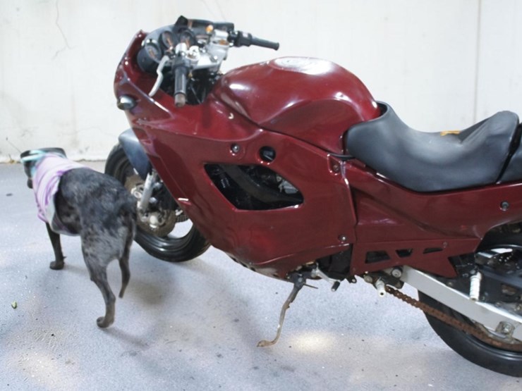 1997-suzuki-gsx600f-katana-motorcycle-image-4