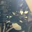 #1268-•-sdlgc80-golf-cart*---middlebury,-in-image-16