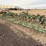 john-deere-1100-image-6