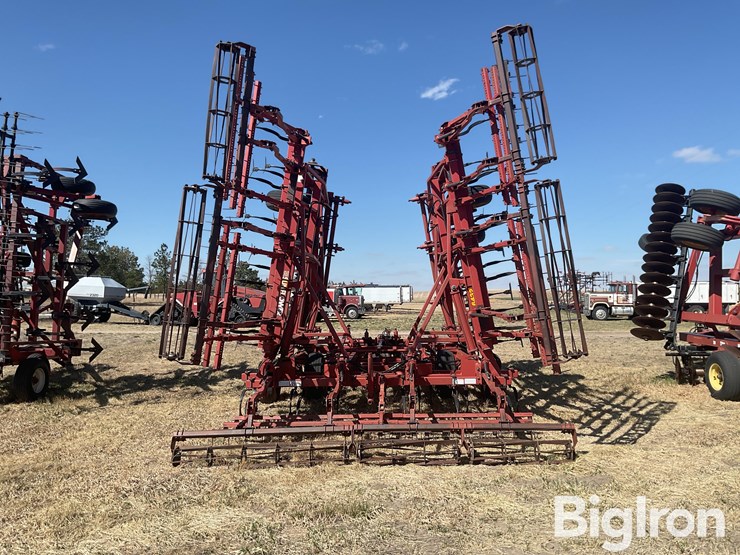 sunflower-6432-33-image-6