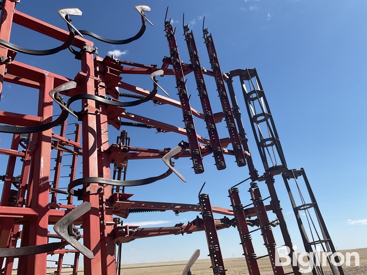 sunflower-6432-33-image-18