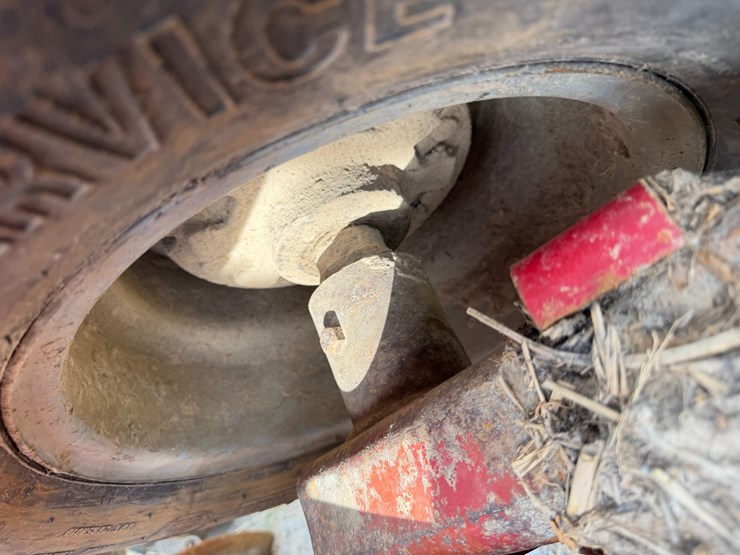 sunflower-1434-image-13