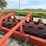#46900-•-fair-oaks-mfg-20'-stubble-roller-image-28