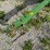john-deere-225-image-25