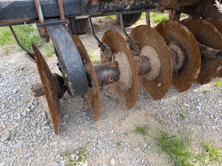 sunflower-1434-image-58