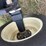#46883-•-batco-2485-85'-grain-conveyor-image-7