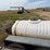 #46875-•-bowman-t/a-175gal-nurse/mudmaster-trailer-image-45