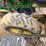 john-deere-1720-image-15