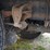 2012-hino-338-image-32