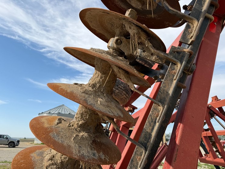 sunflower-1434-image-24