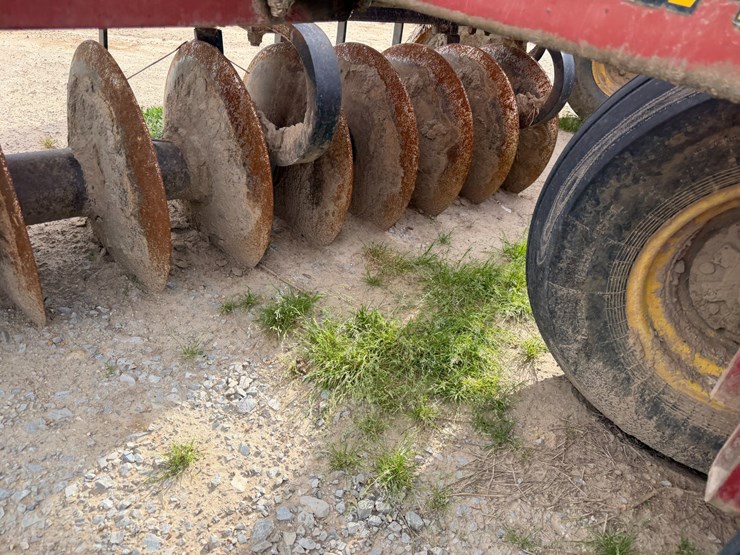 sunflower-1434-image-71