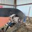 #46892-•-batco-ps2500-25'-driver-over-conveyor-image-8