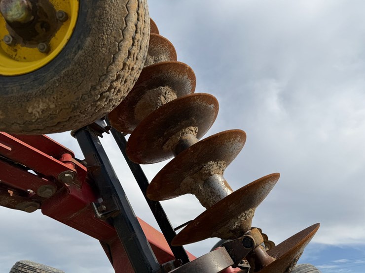 sunflower-1434-image-41