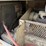 #46876-•-ingersoll-rand-mobile-air-compressor-image-36