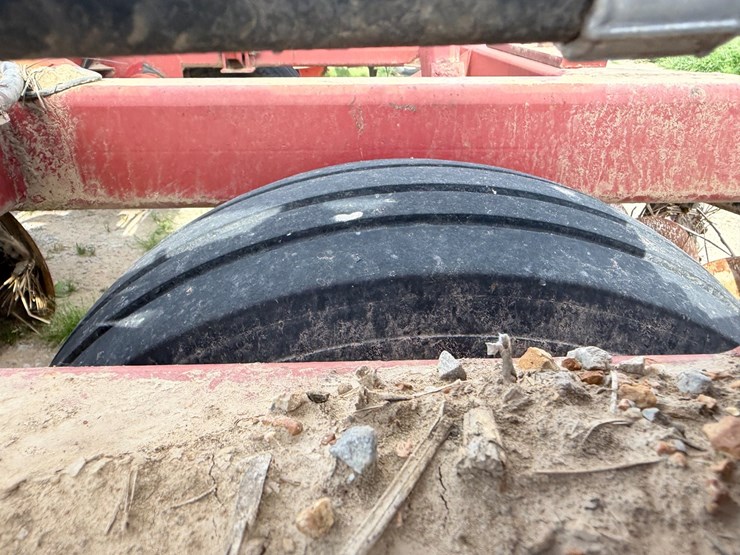 sunflower-1434-image-9