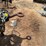 #46864-•-s/a-u.s-military-generator-trailer-image-20
