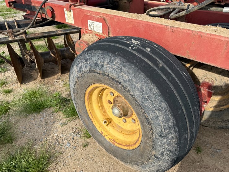 sunflower-1434-image-6