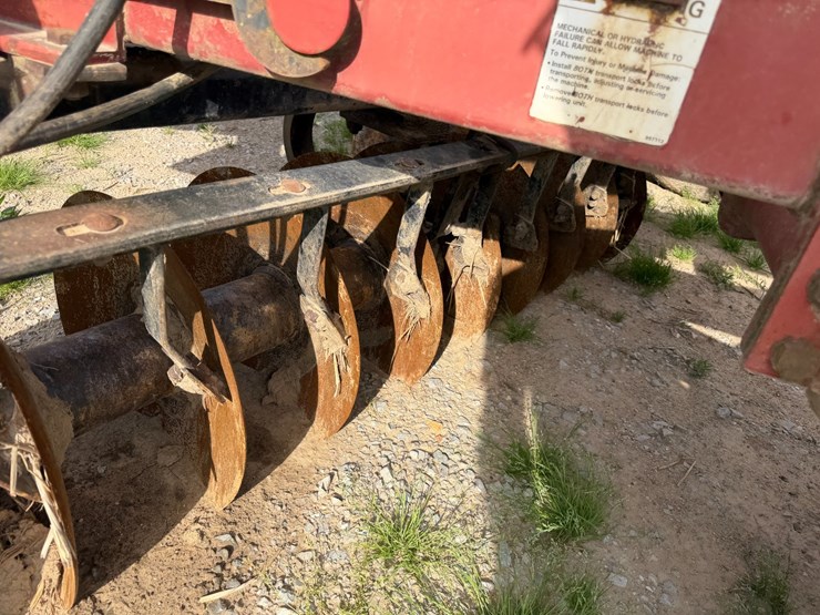 sunflower-1434-image-34