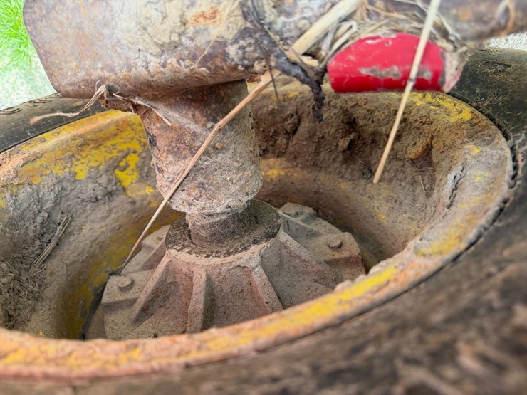 sunflower-1434-image-7