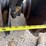 #46884-•-rome-12'-disk-image-49