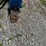 #46898-•-dmi-30'-crumbler-image-33