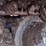 2020-volvo-ec220e-lr-image-33