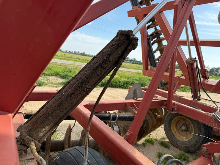 sunflower-1434-image-68