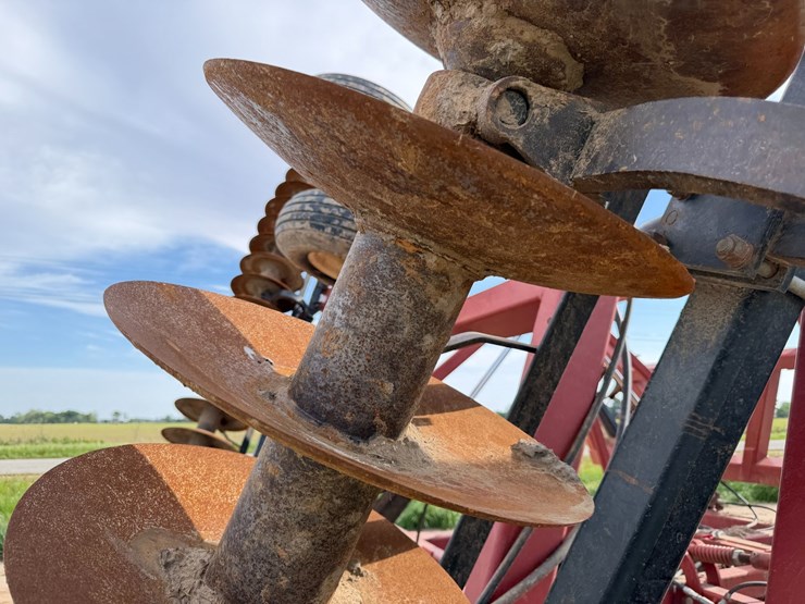 sunflower-1434-image-61