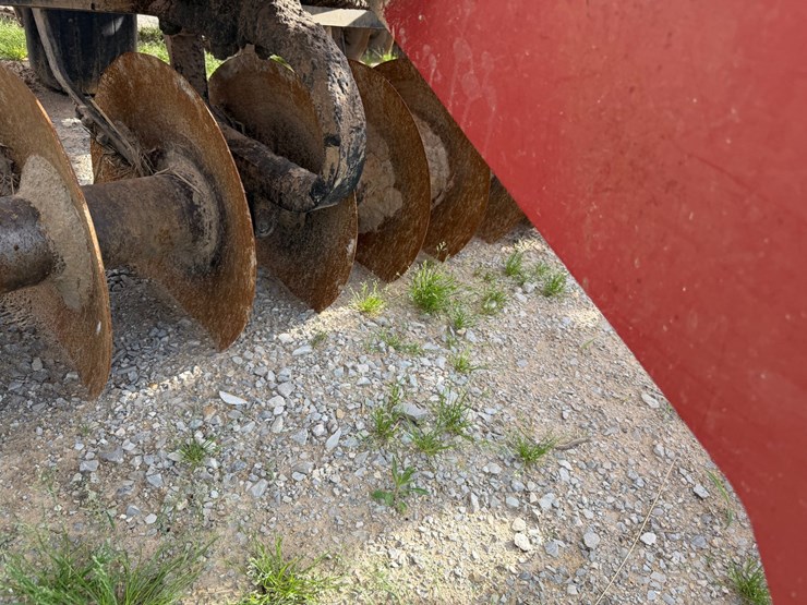 sunflower-1434-image-57