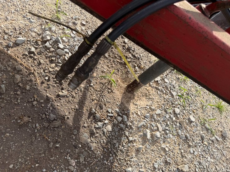 sunflower-1434-image-53